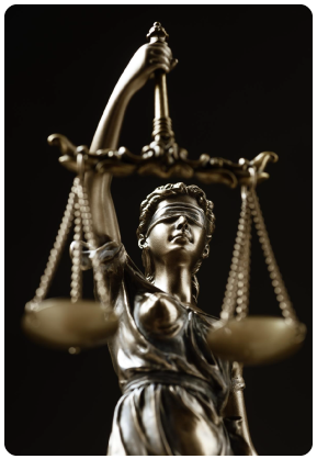 Imagem Introdutória